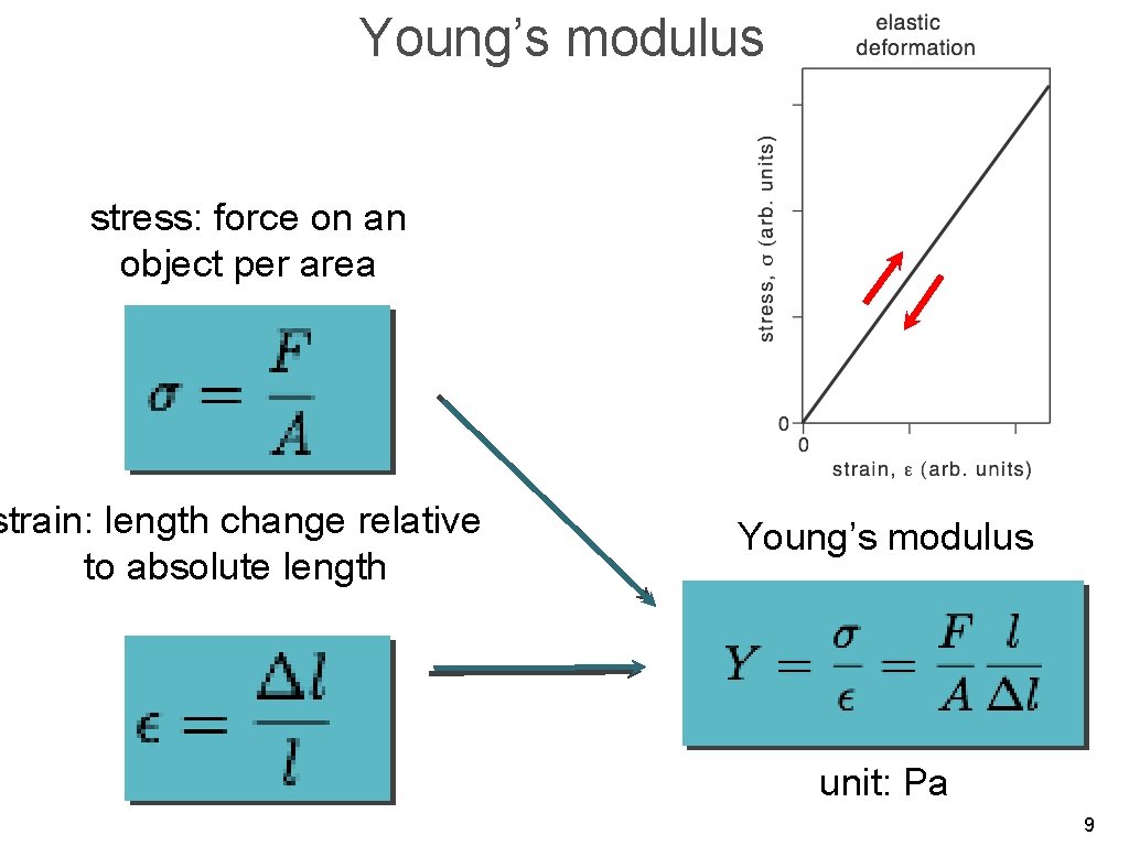 Young’s modulus stress: force on an object per area strain: length change relative to