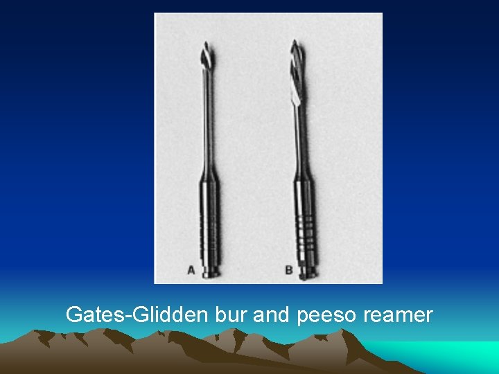 Gates-Glidden bur and peeso reamer 
