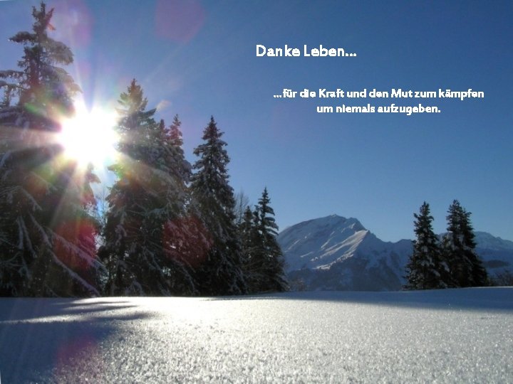 Danke Leben… …für die Kraft und den Mut zum kämpfen um niemals aufzugeben. Danke Leben… …für die Kraft und den Mut zum kämpfen um niemals aufzugeben.