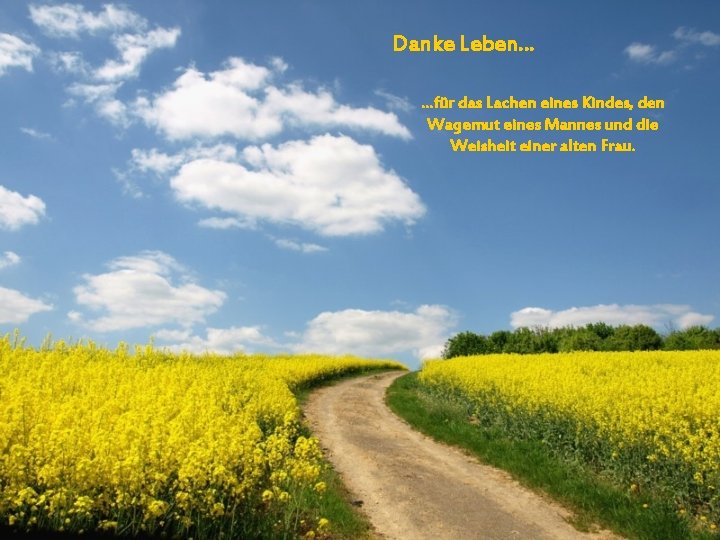 Danke Leben… …für das Lachen eines Kindes, den Wagemut eines Mannes und die Weisheit