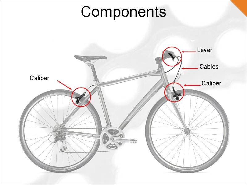 Components Lever Cables Caliper 