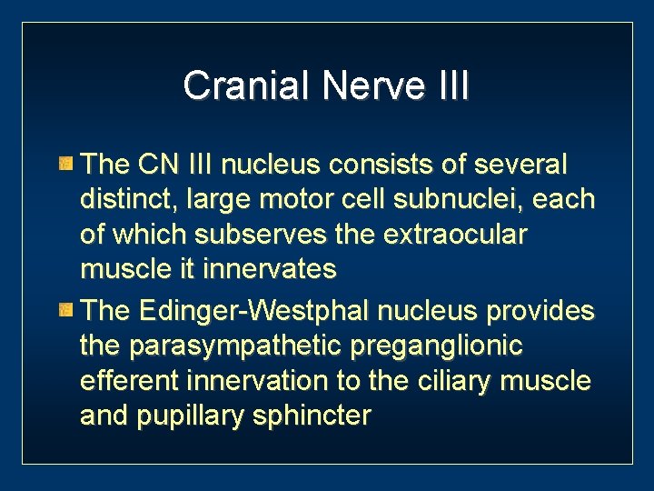 Cranial Nerve III The CN III nucleus consists of several distinct, large motor cell