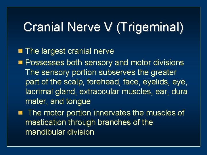 Cranial Nerve V (Trigeminal) The largest cranial nerve Possesses both sensory and motor divisions