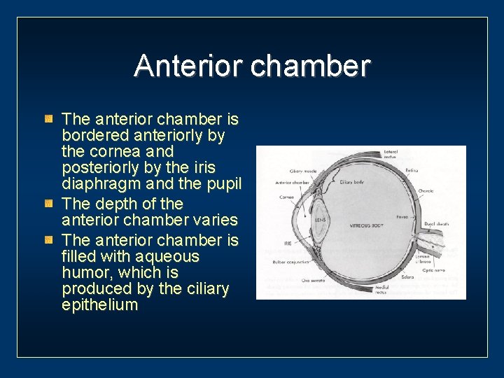 Anterior chamber The anterior chamber is bordered anteriorly by the cornea and posteriorly by