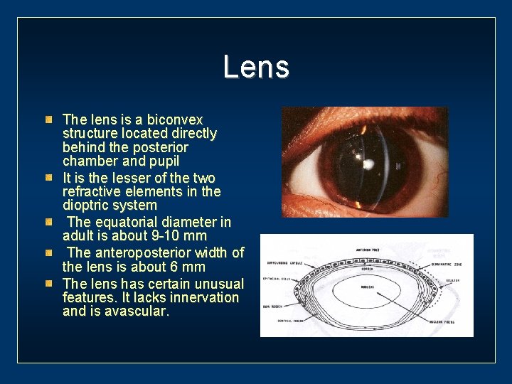 Lens The lens is a biconvex structure located directly behind the posterior chamber and