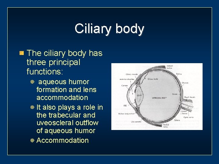 Ciliary body The ciliary body has three principal functions: aqueous humor formation and lens