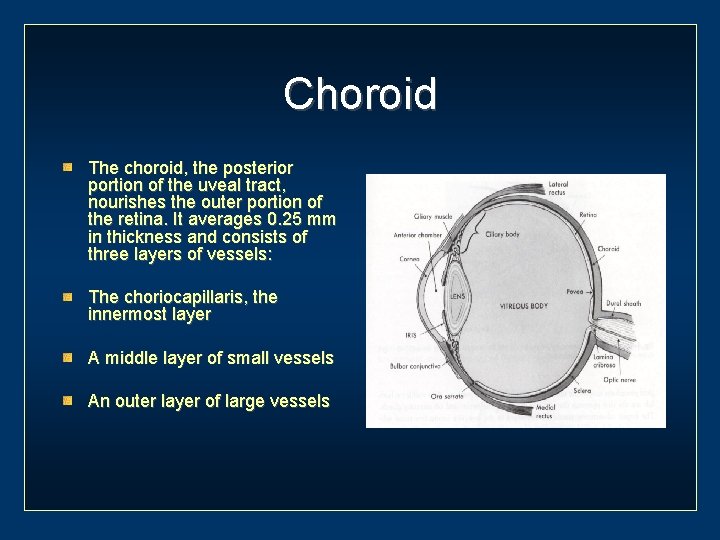 Choroid The choroid, the posterior portion of the uveal tract, nourishes the outer portion