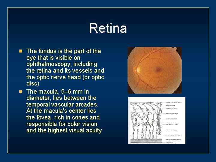 Retina The fundus is the part of the eye that is visible on ophthalmoscopy,