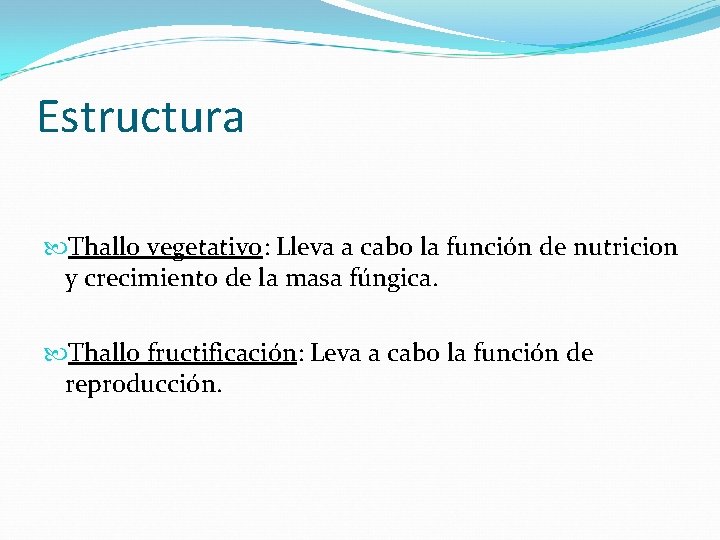 Estructura Thallo vegetativo: Lleva a cabo la función de nutricion y crecimiento de la