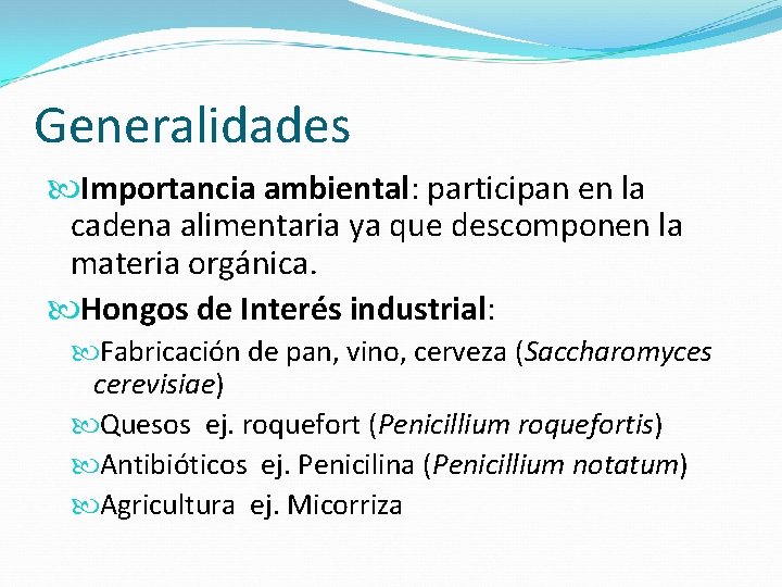 Generalidades Importancia ambiental: participan en la cadena alimentaria ya que descomponen la materia orgánica.