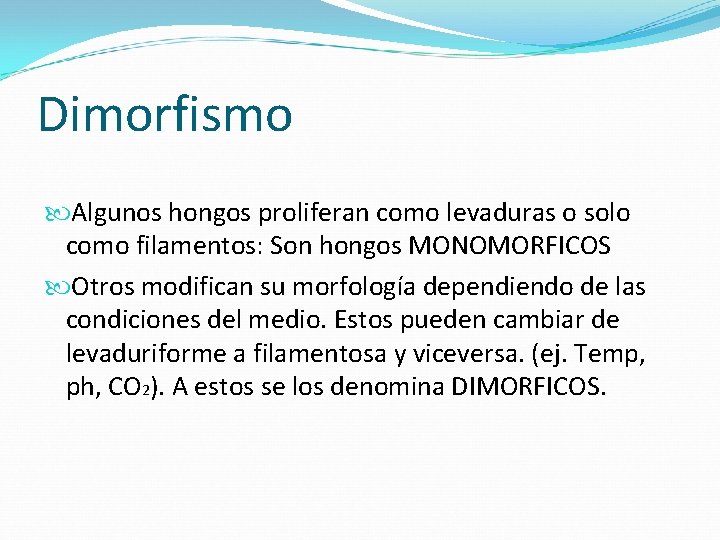 Dimorfismo Algunos hongos proliferan como levaduras o solo como filamentos: Son hongos MONOMORFICOS Otros