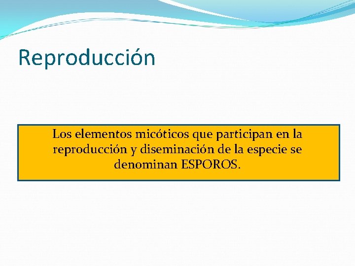 Reproducción Los elementos micóticos que participan en la reproducción y diseminación de la especie