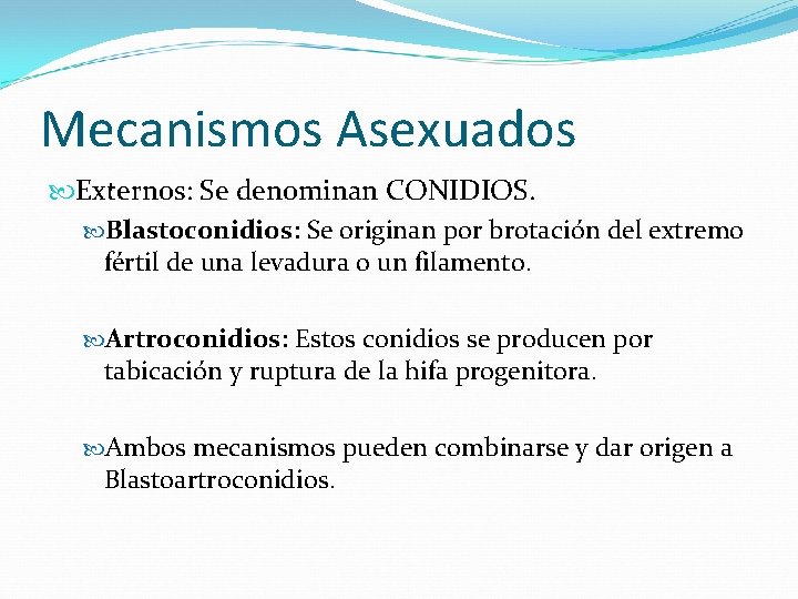 Mecanismos Asexuados Externos: Se denominan CONIDIOS. Blastoconidios: Se originan por brotación del extremo fértil