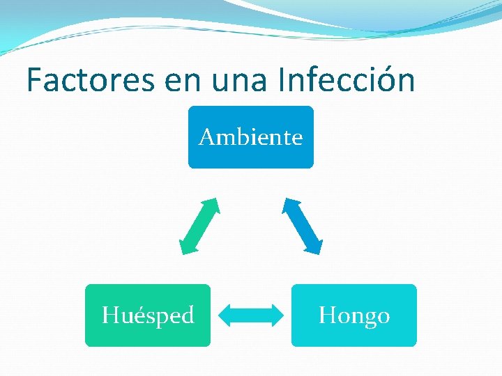 Factores en una Infección Ambiente Huésped Hongo 