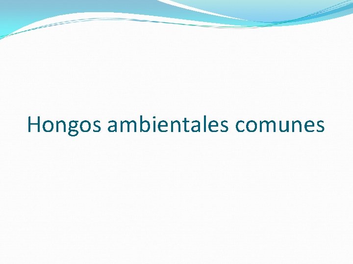 Hongos ambientales comunes 