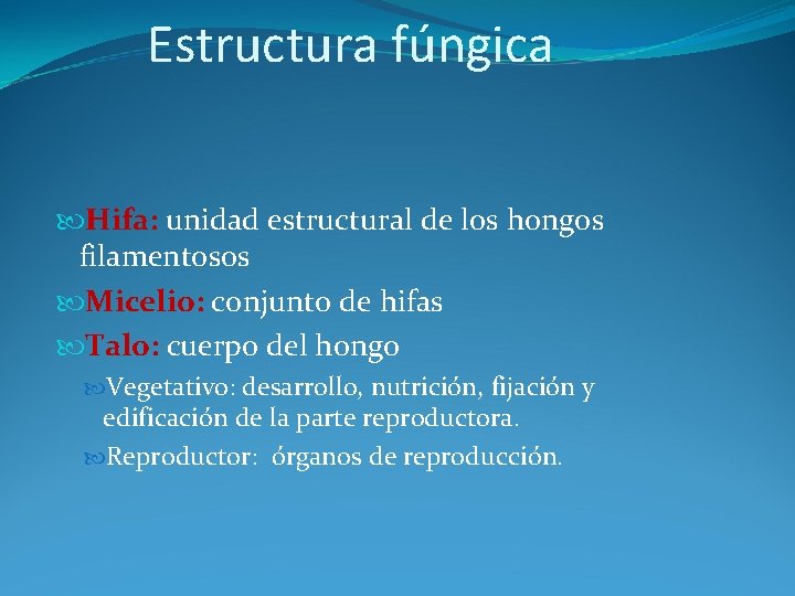 Estructura fúngica Hifa: unidad estructural de los hongos filamentosos Micelio: conjunto de hifas Talo: