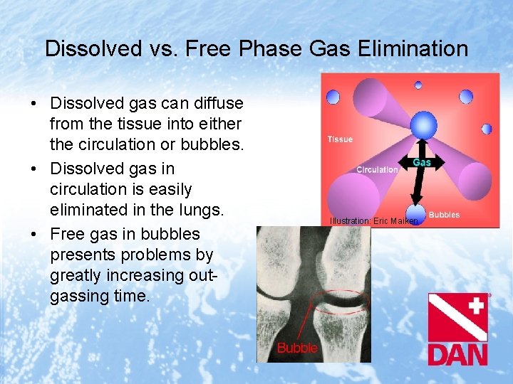 Dissolved vs. Free Phase Gas Elimination • Dissolved gas can diffuse from the tissue