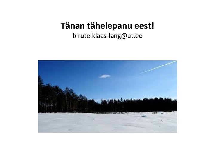 Tänan tähelepanu eest! birute. klaas-lang@ut. ee 