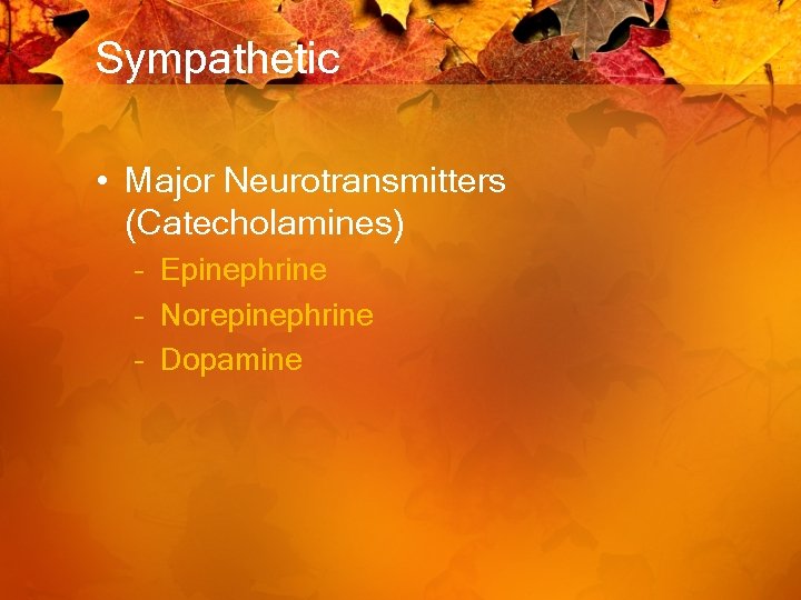 Sympathetic • Major Neurotransmitters (Catecholamines) – Epinephrine – Norepinephrine – Dopamine 