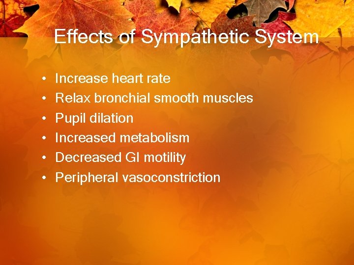 Effects of Sympathetic System • • • Increase heart rate Relax bronchial smooth muscles