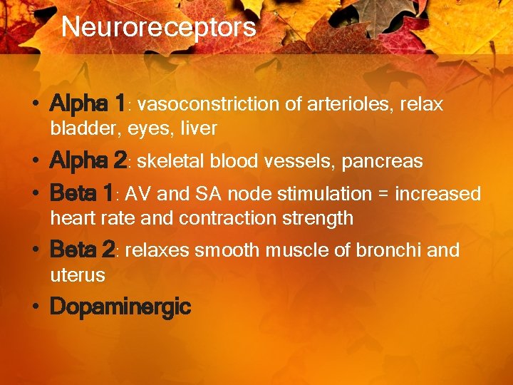 Neuroreceptors • Alpha 1: vasoconstriction of arterioles, relax bladder, eyes, liver • Alpha 2: