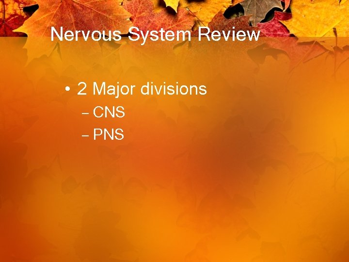 Nervous System Review • 2 Major divisions – CNS – PNS 