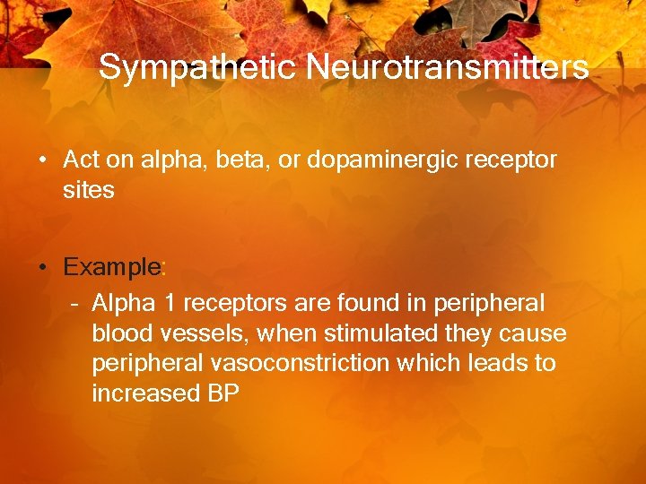 Sympathetic Neurotransmitters • Act on alpha, beta, or dopaminergic receptor sites • Example: –