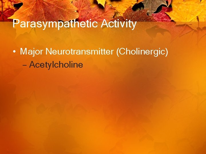 Parasympathetic Activity • Major Neurotransmitter (Cholinergic) – Acetylcholine 