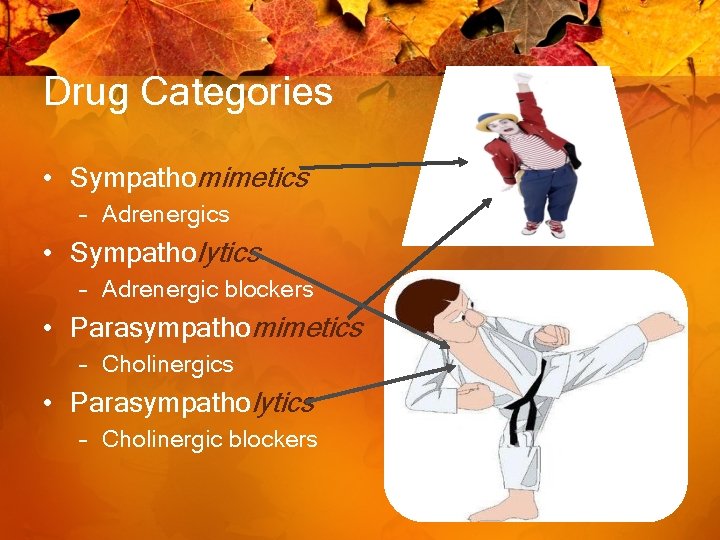 Drug Categories • Sympathomimetics – Adrenergics • Sympatholytics – Adrenergic blockers • Parasympathomimetics –