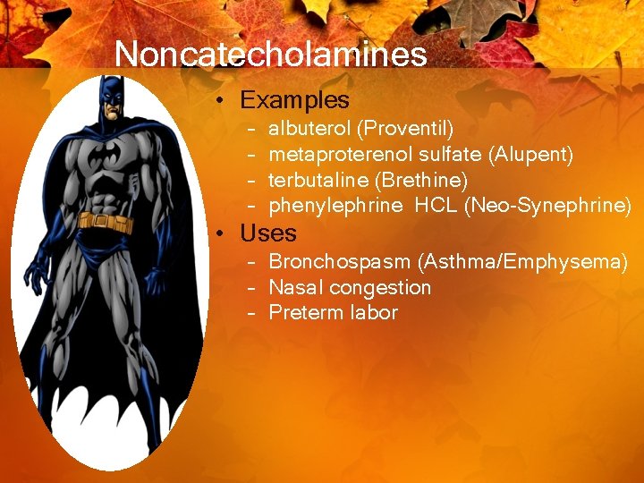 Noncatecholamines • Examples – – albuterol (Proventil) metaproterenol sulfate (Alupent) terbutaline (Brethine) phenylephrine HCL