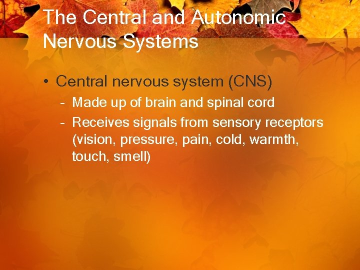 The Central and Autonomic Nervous Systems • Central nervous system (CNS) – Made up