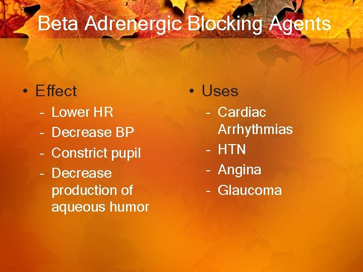 Beta Adrenergic Blocking Agents • Effect – – Lower HR Decrease BP Constrict pupil