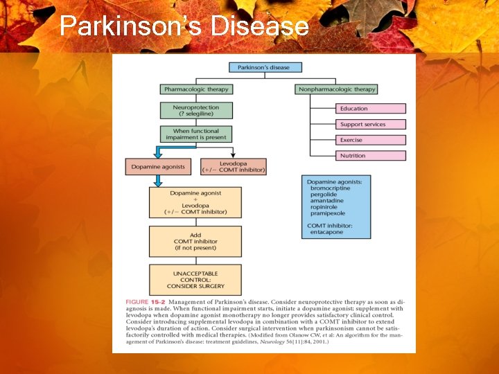 Parkinson’s Disease 