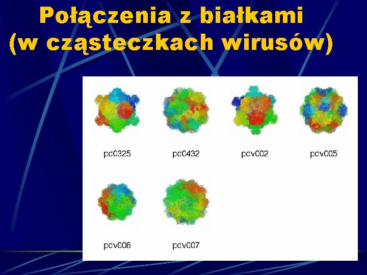 Połączenia z białkami (w cząsteczkach wirusów) 