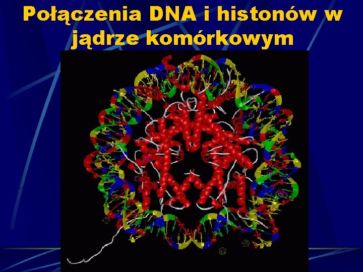 Połączenia DNA i histonów w jądrze komórkowym 