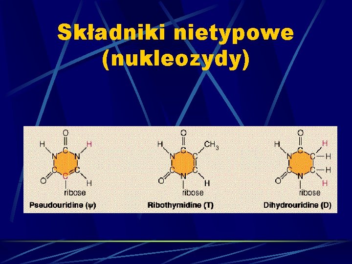 Składniki nietypowe (nukleozydy) 