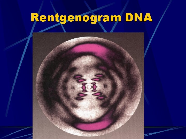 Rentgenogram DNA 