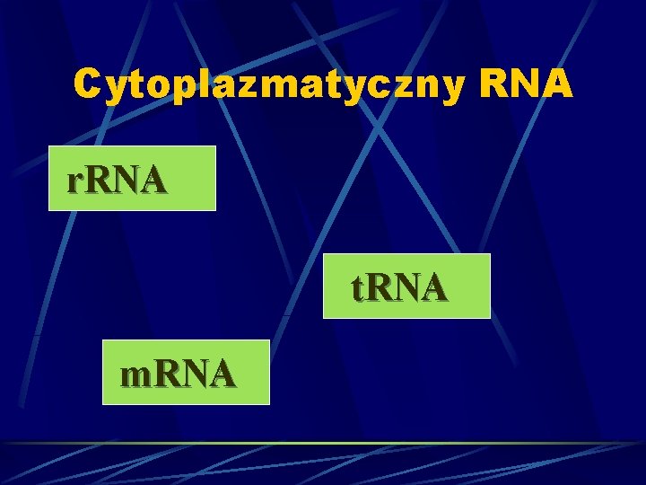 Cytoplazmatyczny RNA r. RNA t. RNA m. RNA 