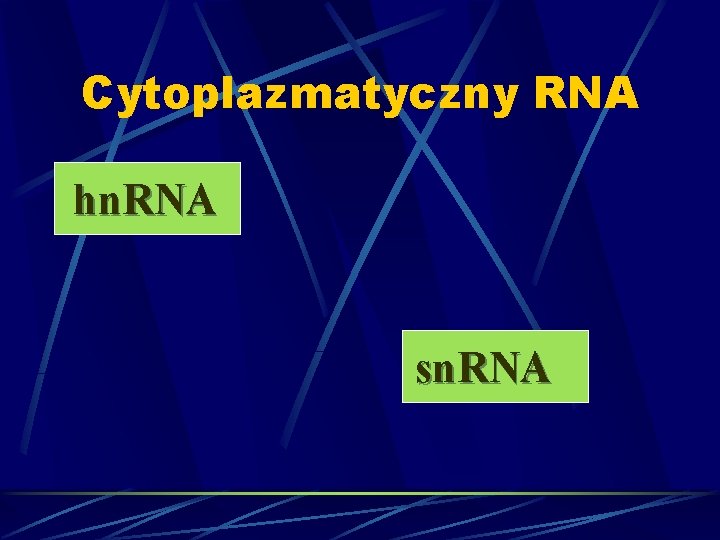 Cytoplazmatyczny RNA hn. RNA sn. RNA 