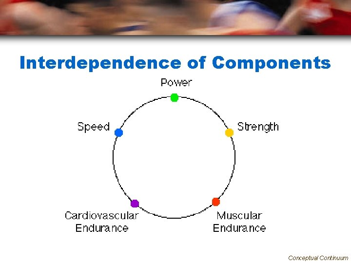 Interdependence of Components Conceptual Continuum 