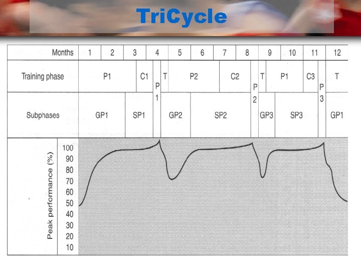 Tri. Cycle 