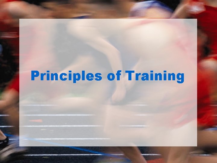 Principles of Training 