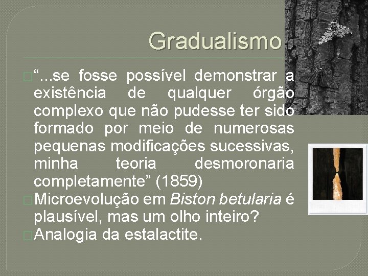 Gradualismo �“. . . se fosse possível demonstrar a existência de qualquer órgão complexo