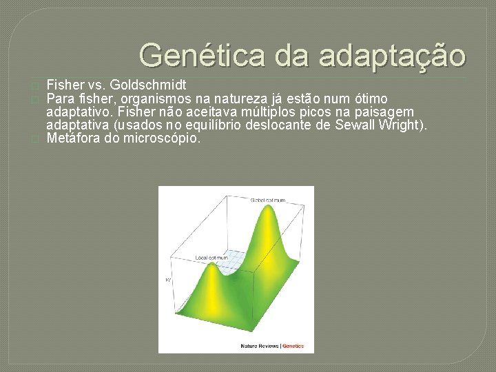 Genética da adaptação � � � Fisher vs. Goldschmidt Para fisher, organismos na natureza