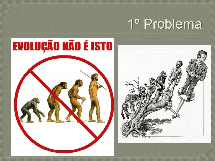 1º Problema 