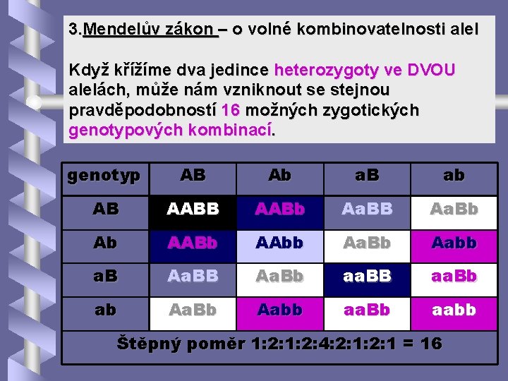 3. Mendelův zákon – o volné kombinovatelnosti alel Když křížíme dva jedince heterozygoty ve