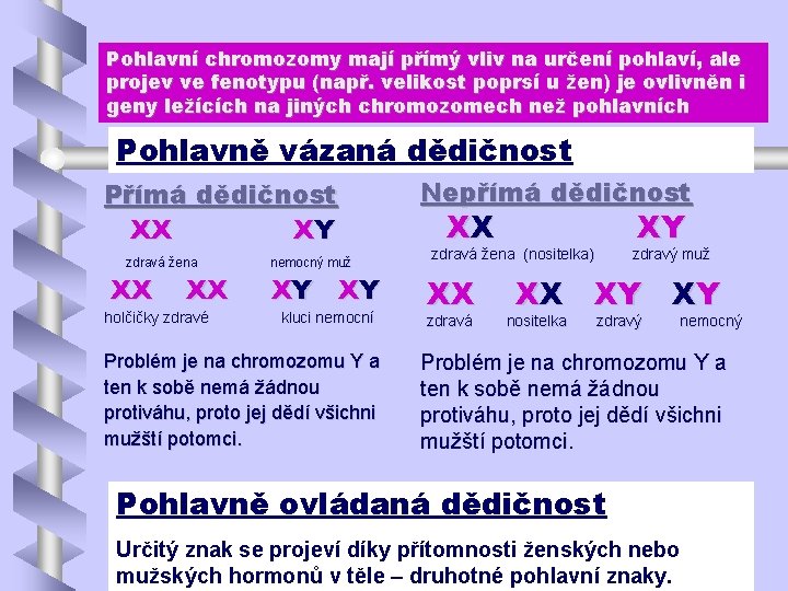 Pohlavní chromozomy mají přímý vliv na určení pohlaví, ale projev ve fenotypu (např. velikost Pohlavní chromozomy mají přímý vliv na určení pohlaví, ale projev ve fenotypu (např. velikost