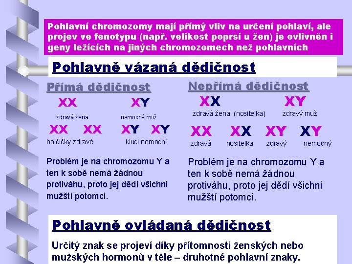 Pohlavní chromozomy mají přímý vliv na určení pohlaví, ale projev ve fenotypu (např. velikost