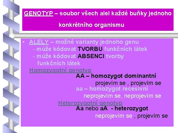 GENOTYP – soubor všech alel každé buňky jednoho konkrétního organismu • ALELY – možné