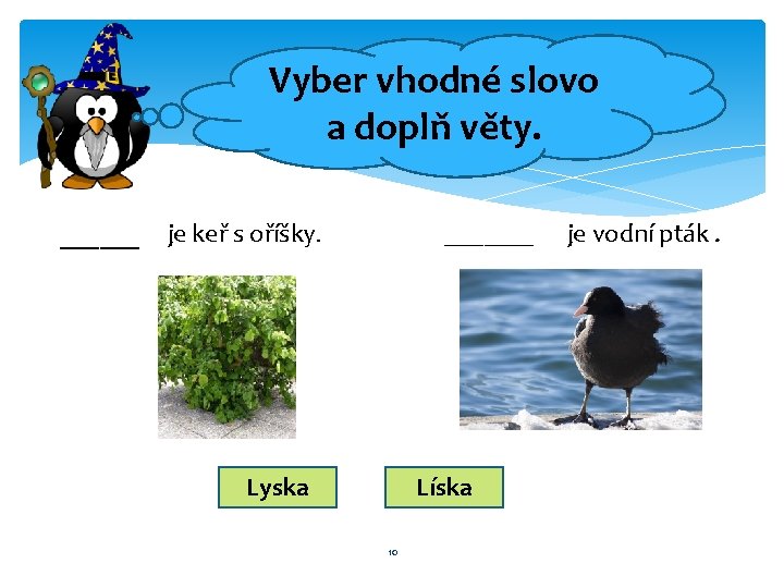 Vyber vhodné slovo a doplň věty. ______ je keř s oříšky. _____ Lyska Líska